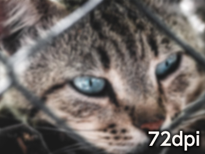 72dpiの画像