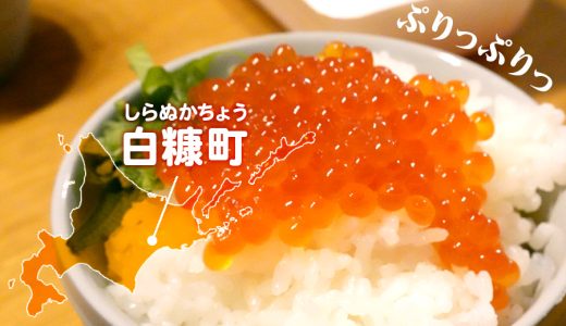 【ふるさと納税返礼品】北海道白糠町のいくらがプリプリで美味しかった。